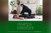 Fasya Nedir?