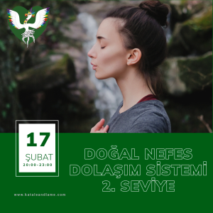 Doğal Nefes Dolaşım Sistemi 2. Seviye